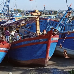 Ngư dân tính chuyện bán tàu khi chi phí cao, lao động khan hiếm